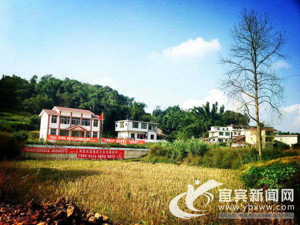 四川省江安县农商银行地址,江安县农商银行贷款