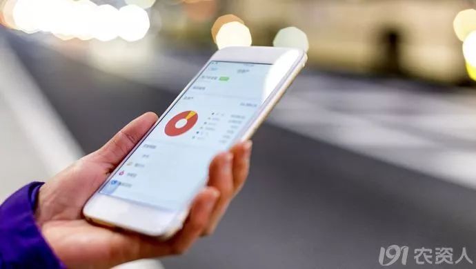 柑橘大混战怎么卖果,种植柑橘靠品质盈利谈何容易