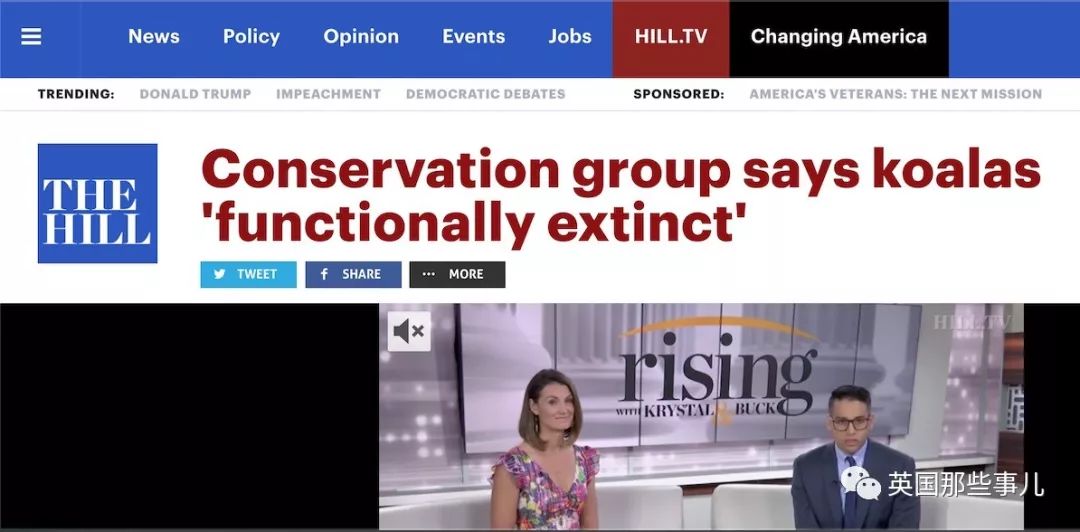 考拉面临功能性灭绝英语答案,导致考拉功能性灭绝的主要原因是