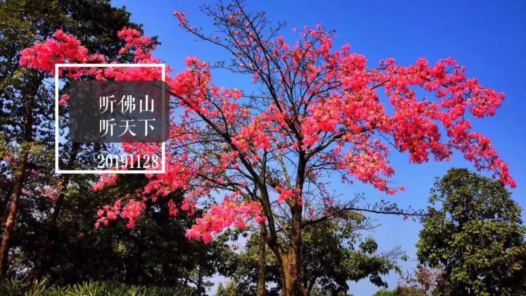 佛山出台新能源汽车补贴方案,佛山补贴新能源汽车