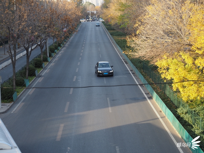 奥林巴斯em5一代拍摄效果,奥林巴斯em5mark3拍照样张