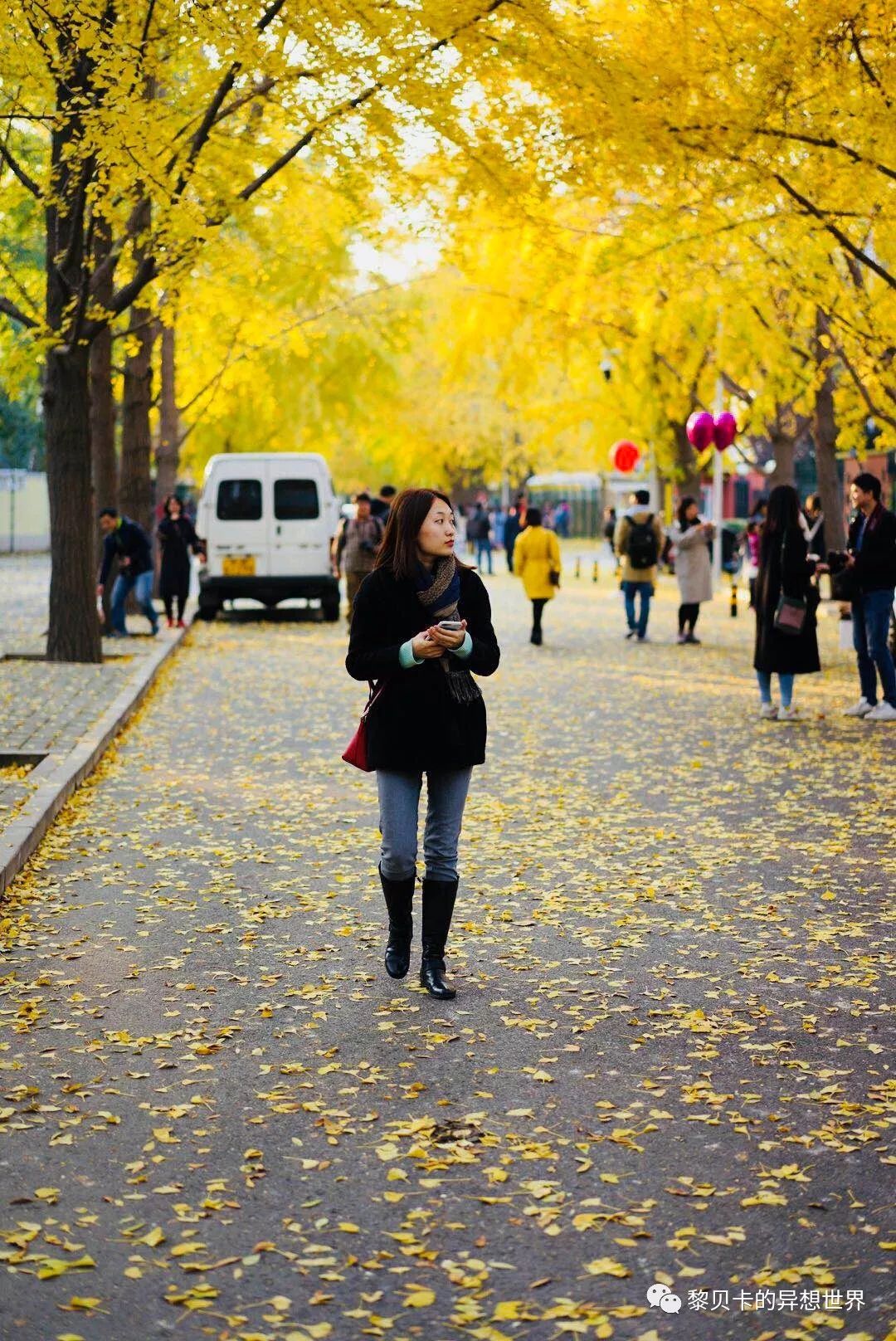 贝壳高颜值包包,贝壳包包推荐小众高级感