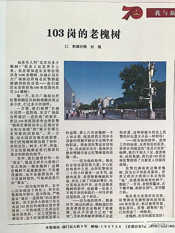 540米长安街，“老槐树”所长的日与夜