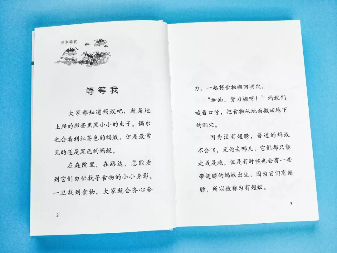 成长必读法布尔昆虫记,法布尔昆虫记书分享