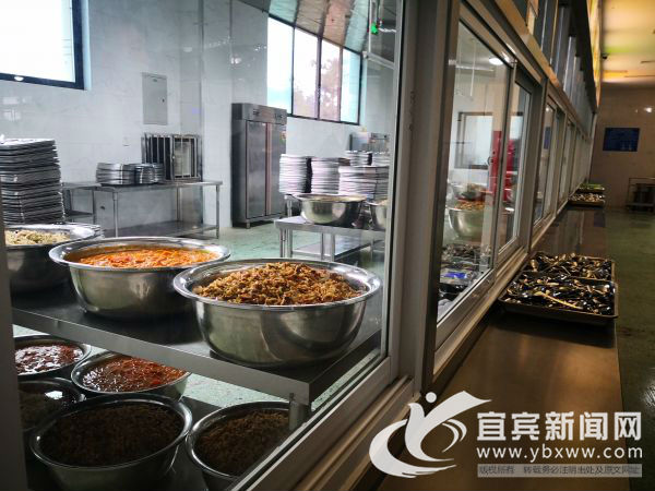 校园食品安全主题行动,主题教育食品安全课题