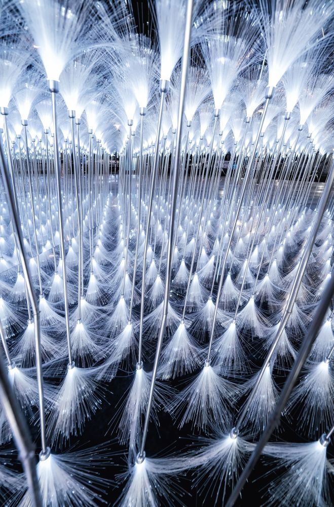 深圳人均500吃的怎么样,深圳一天10块钱能吃什么