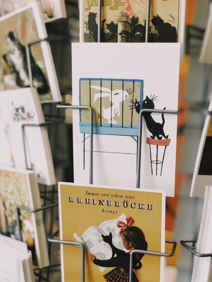 各种猫咪的博物馆,猫咪博物馆都有哪些猫