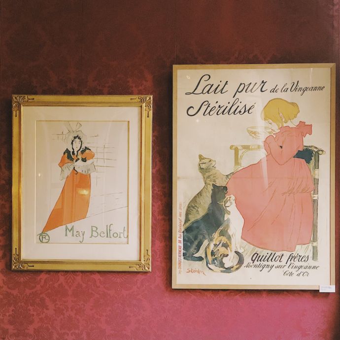 各种猫咪的博物馆,猫咪博物馆都有哪些猫