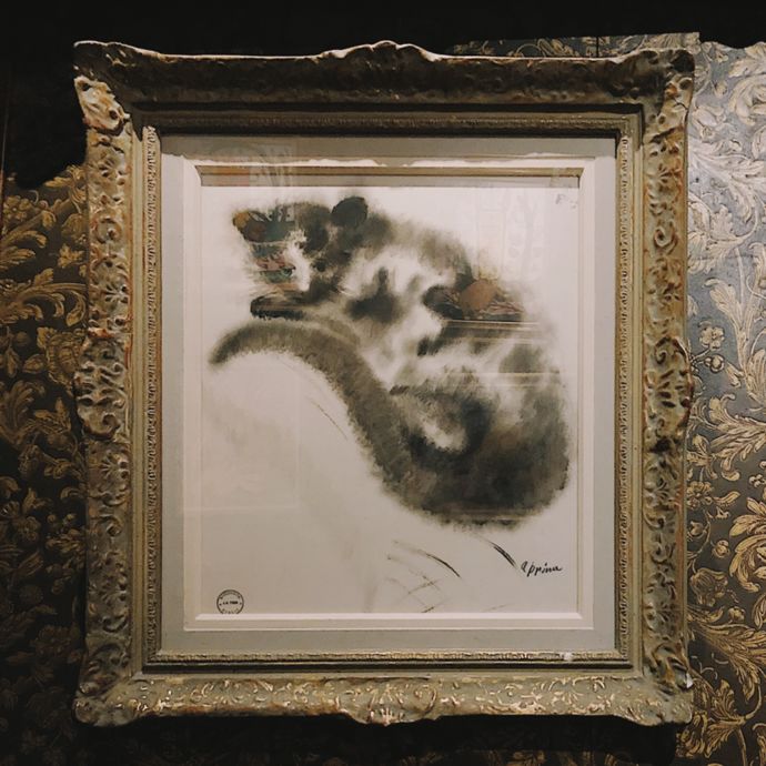 各种猫咪的博物馆,猫咪博物馆都有哪些猫