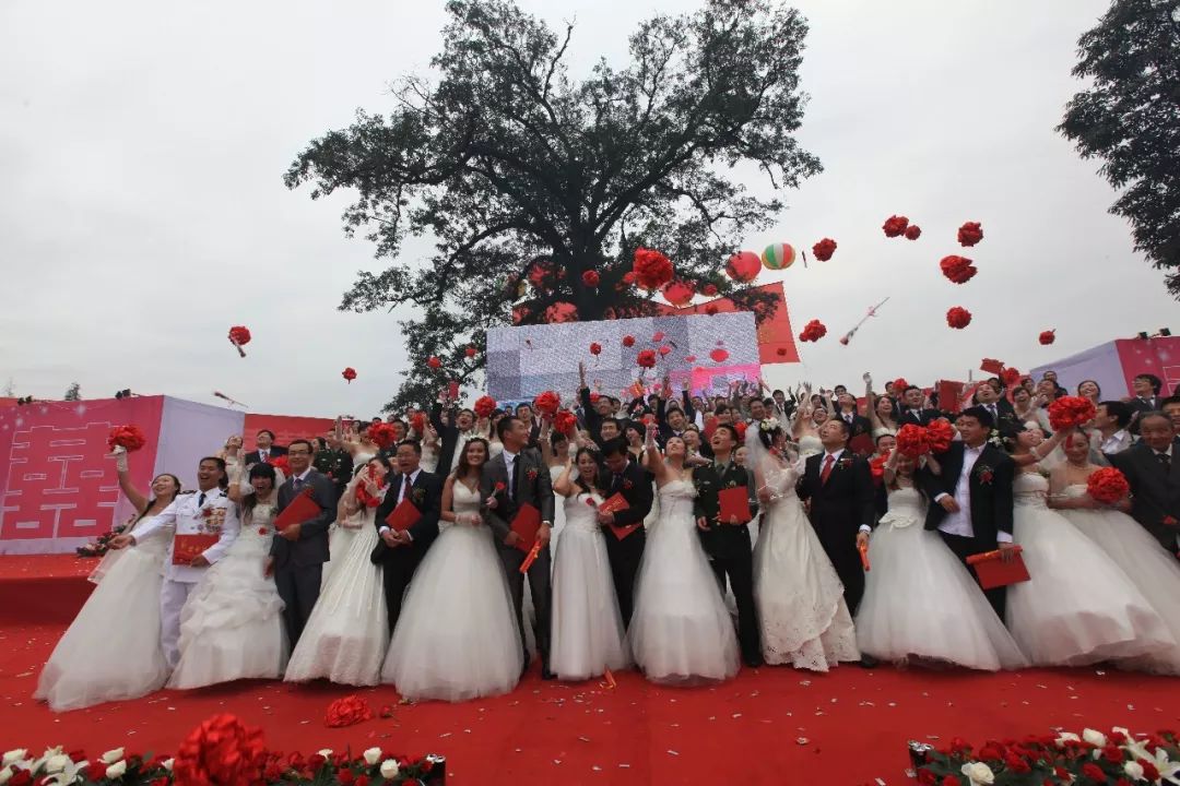 浓浓古典意蕴，孕育千年相思树！什邡这个小镇真的很美