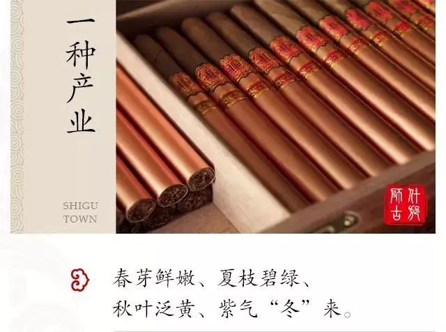 浓浓古典意蕴，孕育千年相思树！什邡这个小镇真的很美