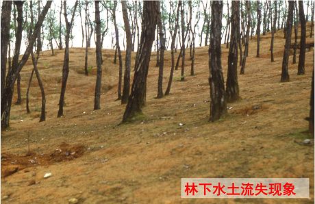 土壤侵蚀有什么作用和影响,土壤修复的威胁