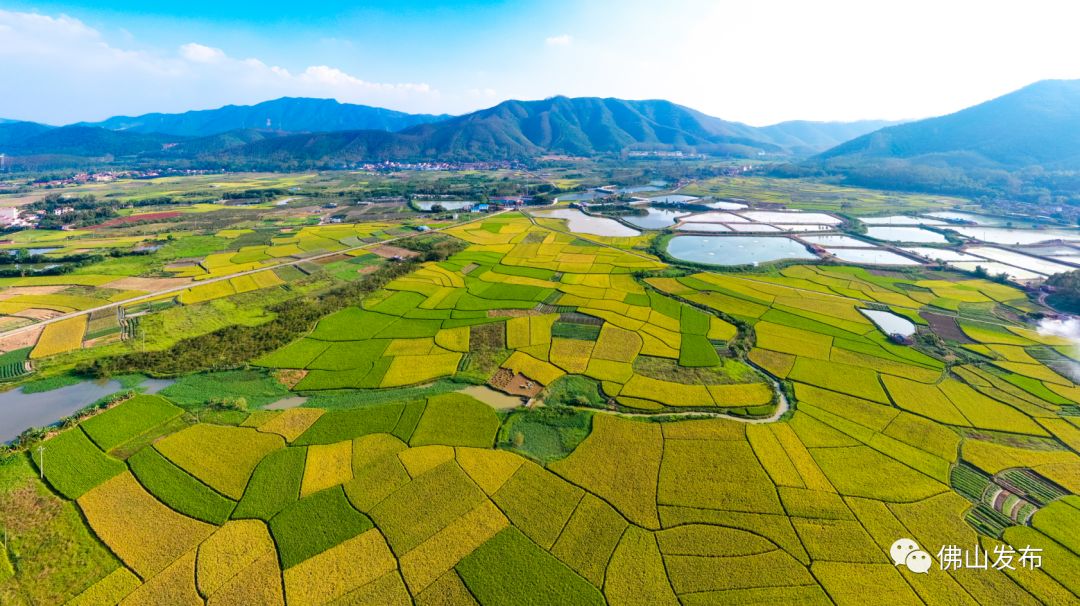 鎴戠埍鎴戝浣涘北,鎴戠殑鑰佸浣涘北