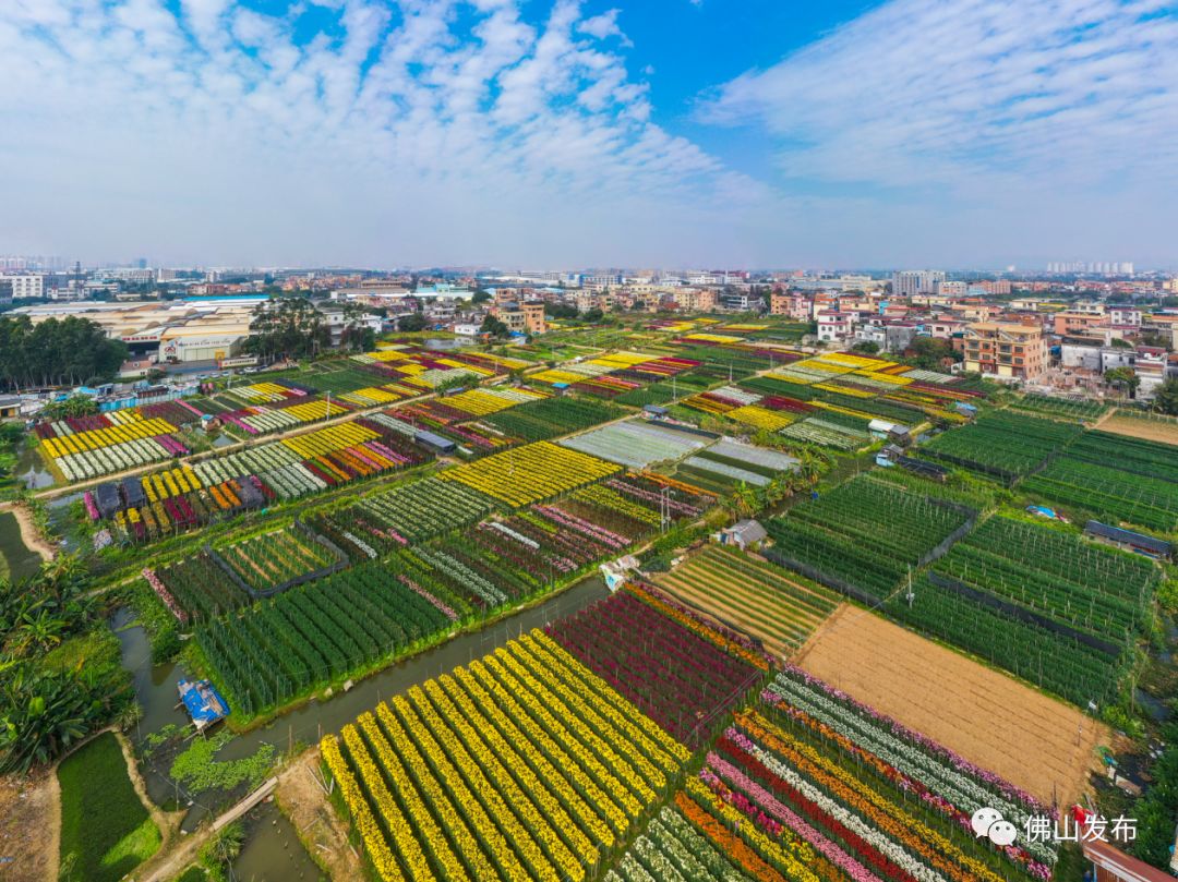 鎴戠埍鎴戝浣涘北,鎴戠殑鑰佸浣涘北