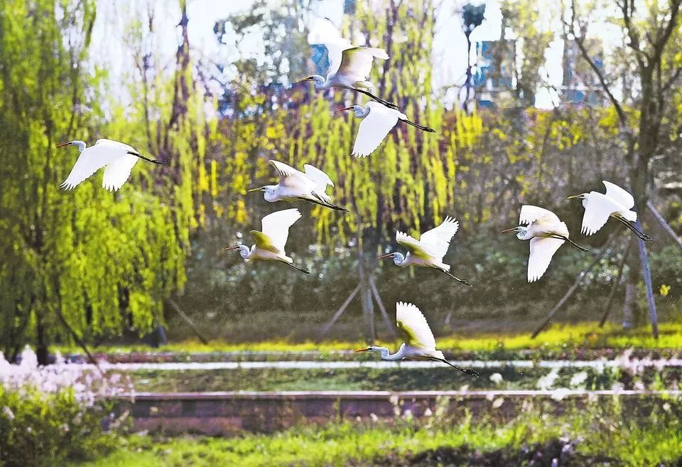 郑州城运如何,郑州城运拐点