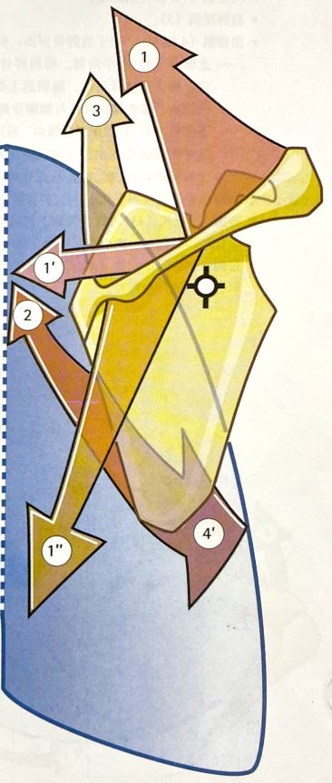 如何矫正耸肩的动作,做动作总是斜方肌代偿