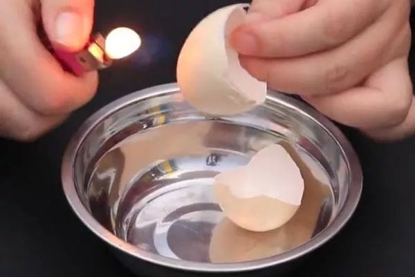 鸡蛋壳用火烧有什么用,鸡蛋壳用火烧过以后可以当肥料吗