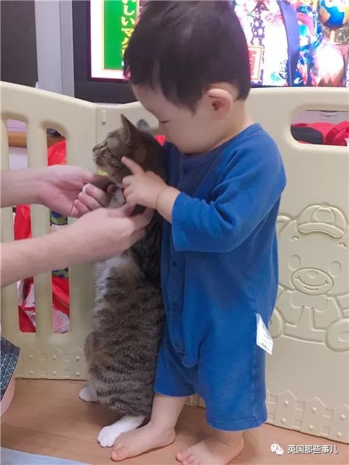 盘点喵星人的高光时刻,最好看的喵星人图片