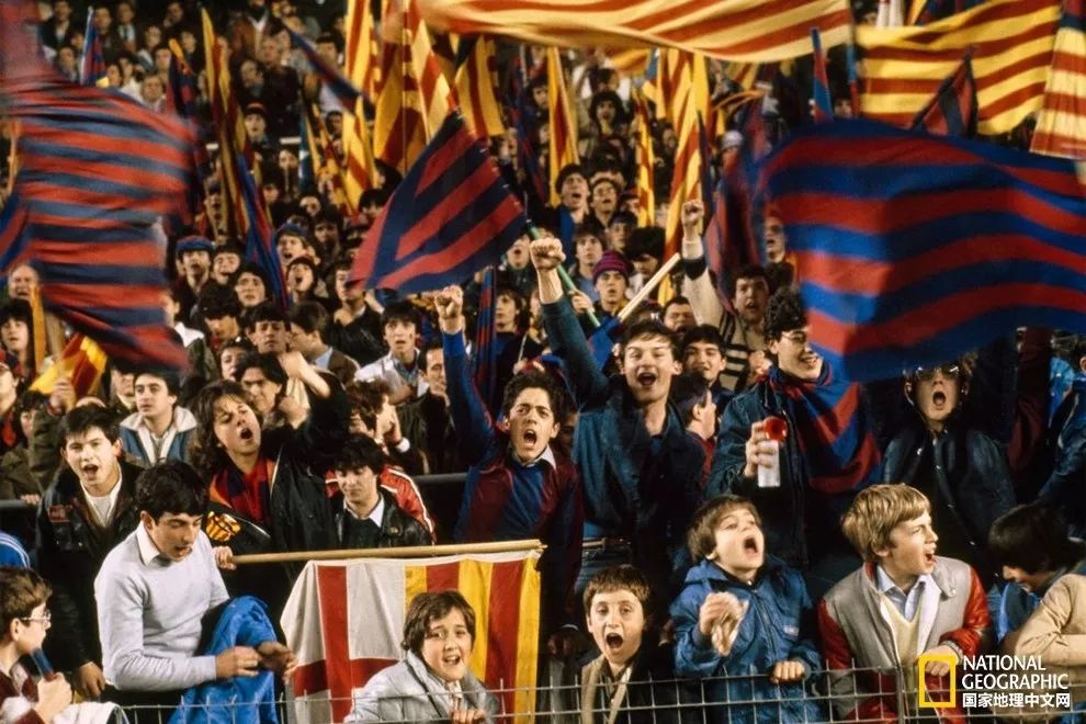 球进了,球进了吗