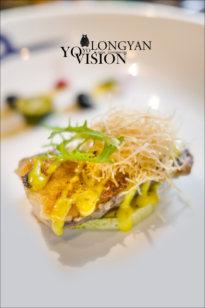 适马fpl真实体验,适马fp最新版本