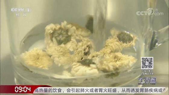 喝菊花茶可以清热解毒吗,清热去火喝菊花茶好还是胎菊好