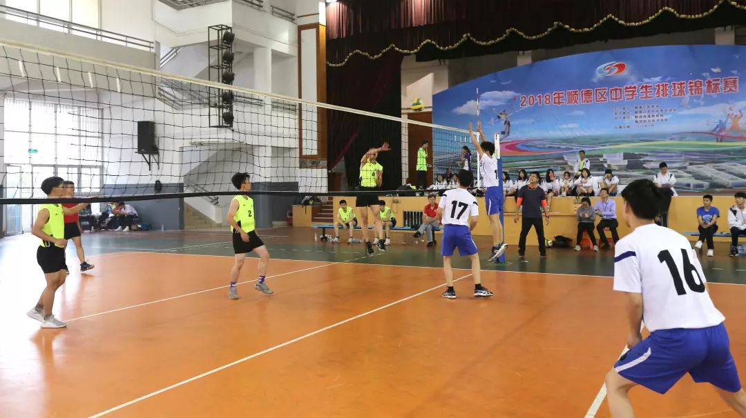 中国三大球人民日报,人民日报篮球青训基础