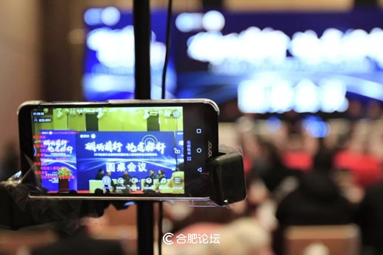 合肥瑞俪宜家家居股份有限公司董事长杨永强获“2018中国安徽家居优秀人物”奖项