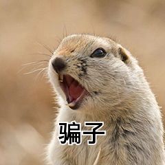 警惕网络钓鱼诈骗,网络钓鱼诈骗手段有哪些