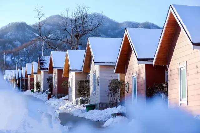 洛阳夜晚网红打卡圣地,洛阳广州市场网红打卡地