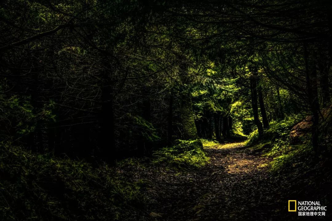 丽江为什么可以让人沉醉,丽江为何称作艳遇之都