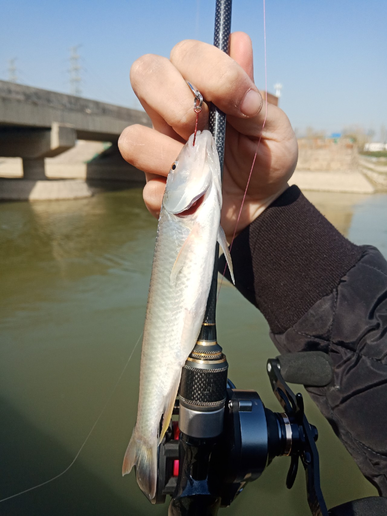 打中了第一尾白条后，我家人怀疑我在吸毒