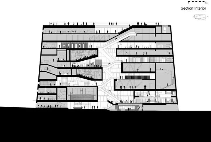 鏍肩綏瀹佹牴,鏍肩綏瀹佹牴forum