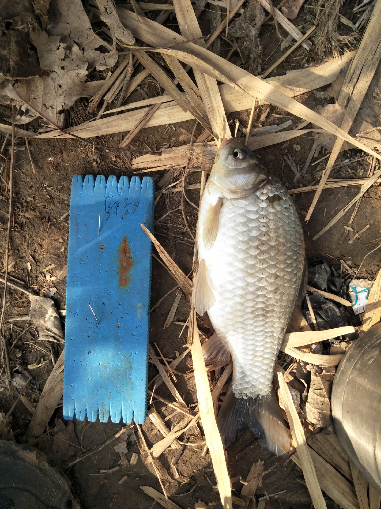 矶竿浮球钓法,矶竿岸筏怎么用