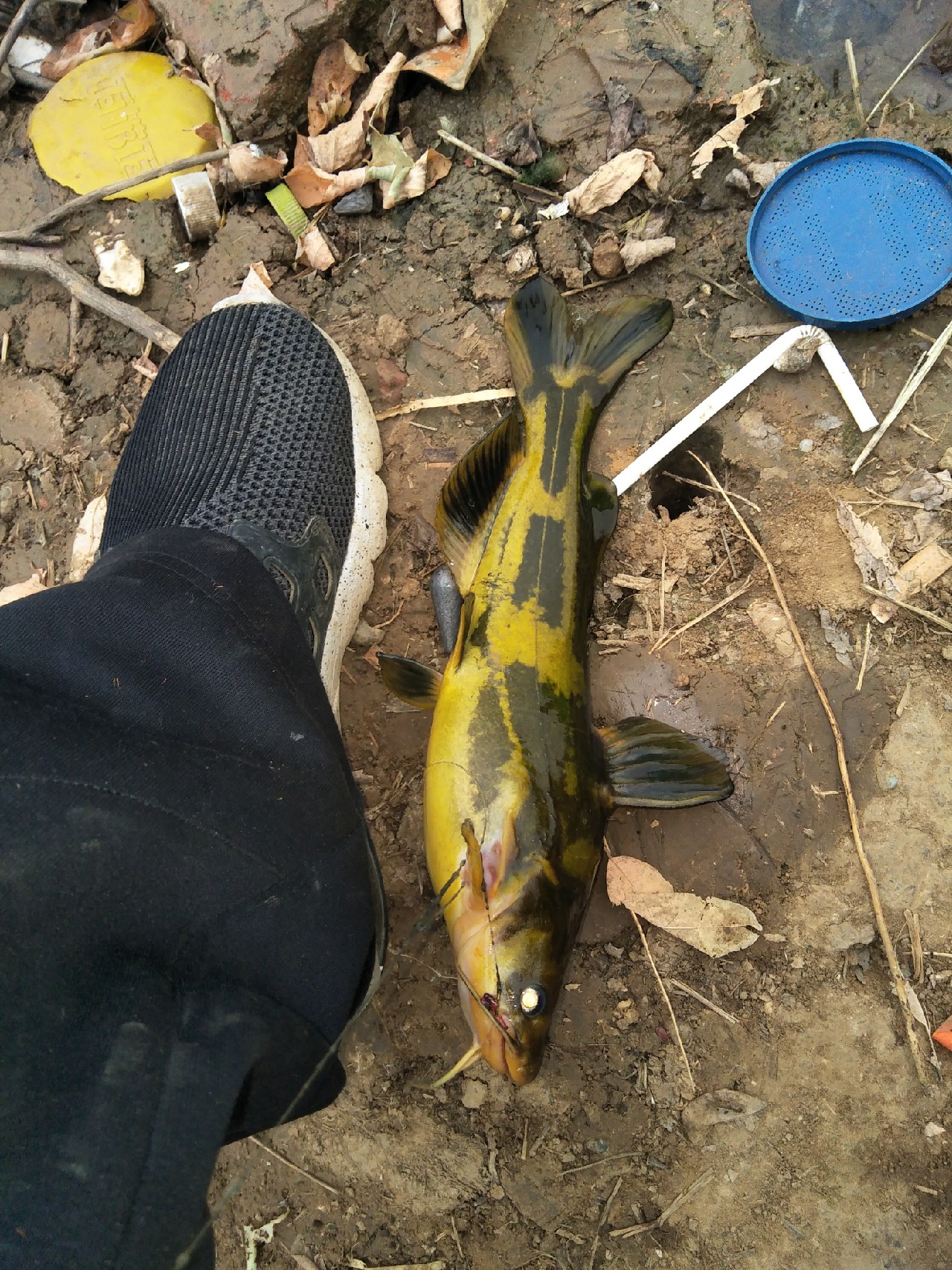 矶竿浮球钓法,矶竿岸筏怎么用