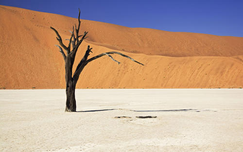 去沙漠可能遇到的危险,去沙漠迷路了怎么报警