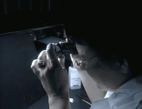 网络视频都是摆拍的吗,视频都是故意摆拍的吗