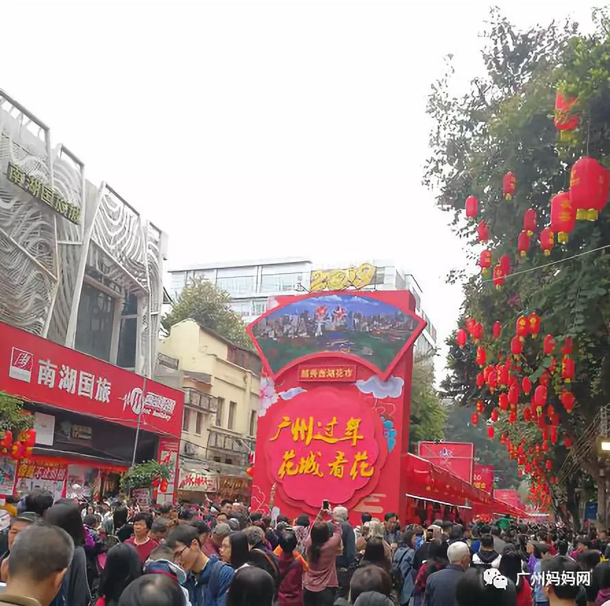 广州迎春花市哪里值得去,广州迎春花市指南