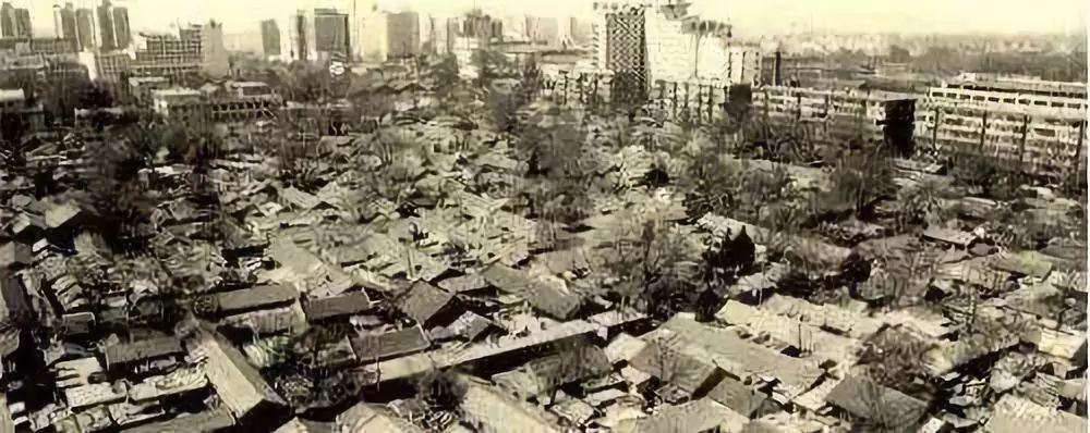 谢其章,谢其章讲藏书视频