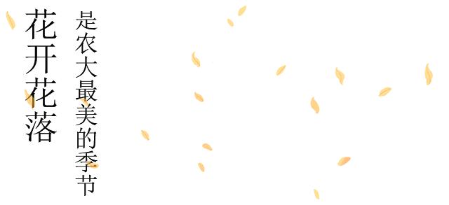 走进安徽大学校园,走进安徽大学