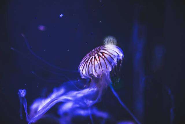 猝不及防闯入你的容颜｜你好，青岛