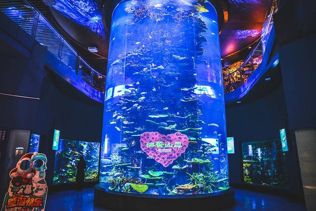 猝不及防闯入你的容颜｜你好，青岛