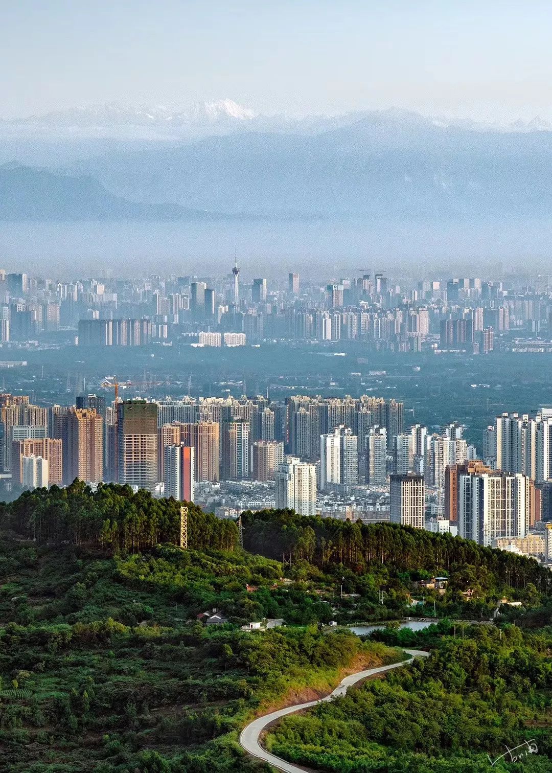 成都是什么,成都年轻人都是什么工作