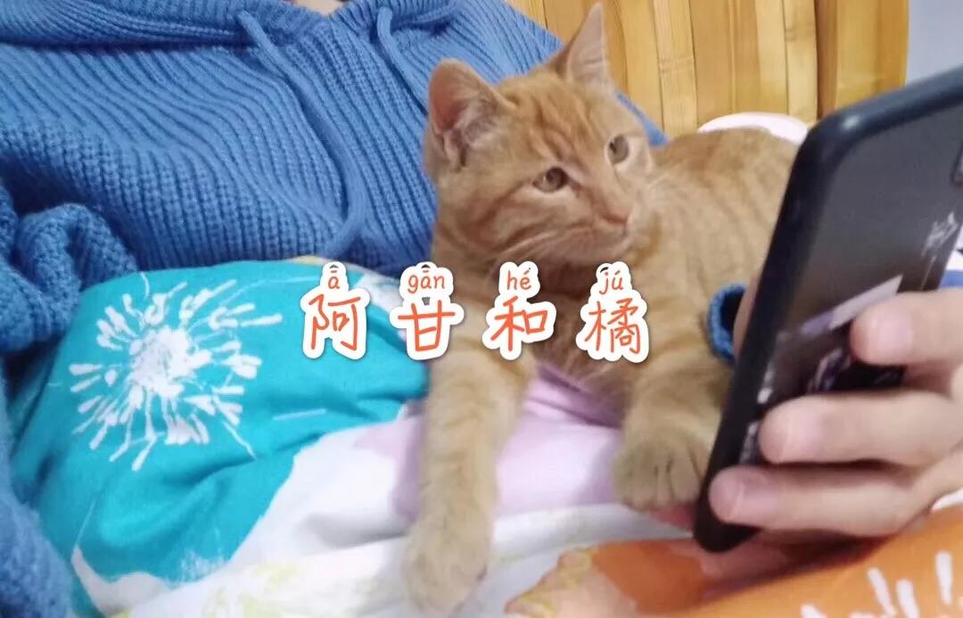 那些离开大城市的年轻人,那些离开北京的北漂们