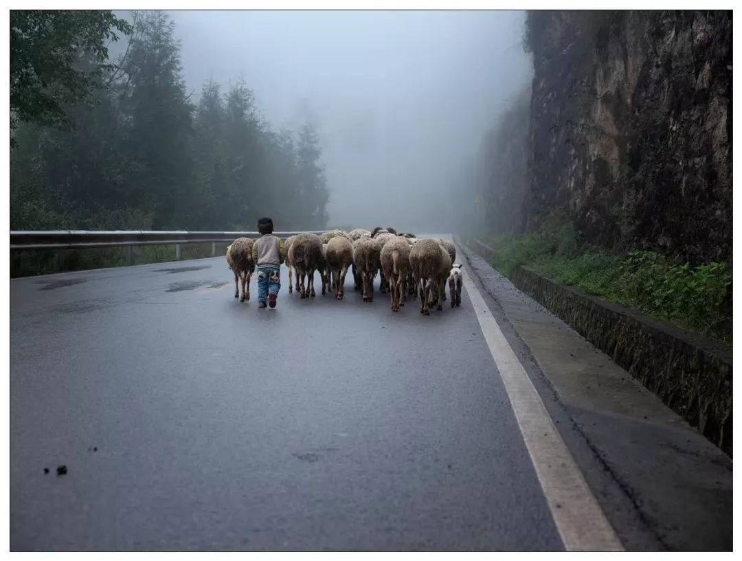 “风”带来了远山的呼唤——《风——在大巴山大凉山中的杨凯生》扶贫摄影展侧记