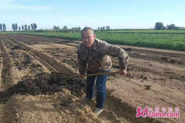 山东平度脱贫视频,平度市脱贫攻坚