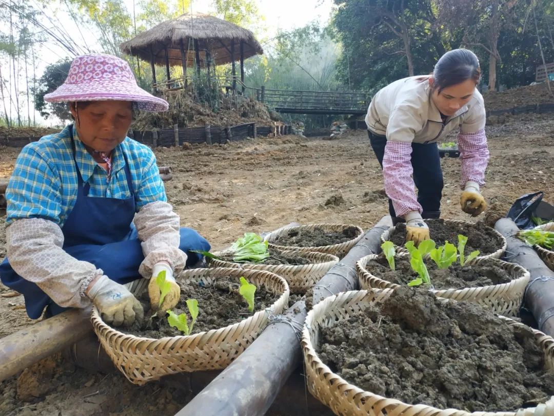让农村人居环境更优美,让乡村生态环境更美