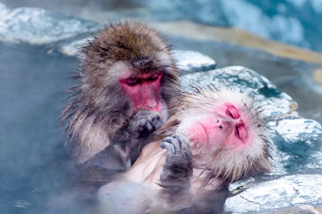 北海道为什么会成为日本的福地,北海道为啥叫北海道