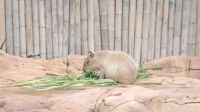 海底探秘视频,海底探秘海洋馆