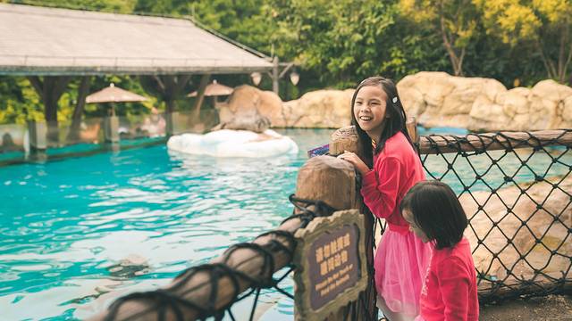 长隆海洋王国海底机动船,珠海长隆海洋王国鲸鲨馆海底区