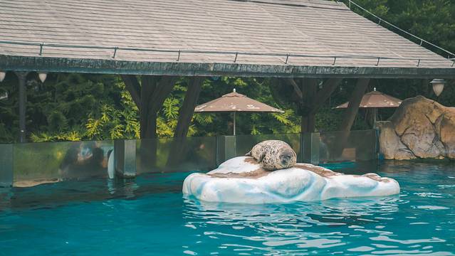 海底探秘视频,海底探秘海洋馆